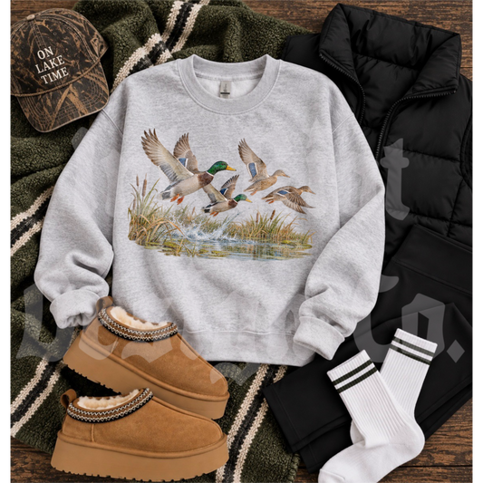 Mallard & Pond