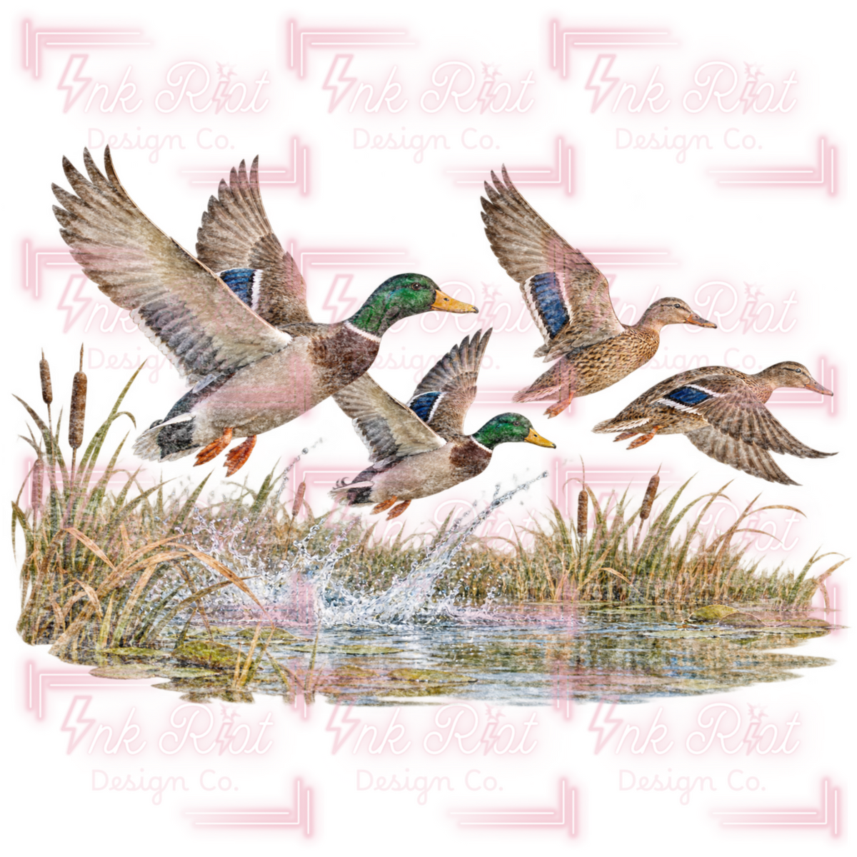 Mallard & Pond PNG
