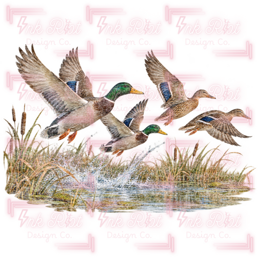 Mallard & Pond PNG